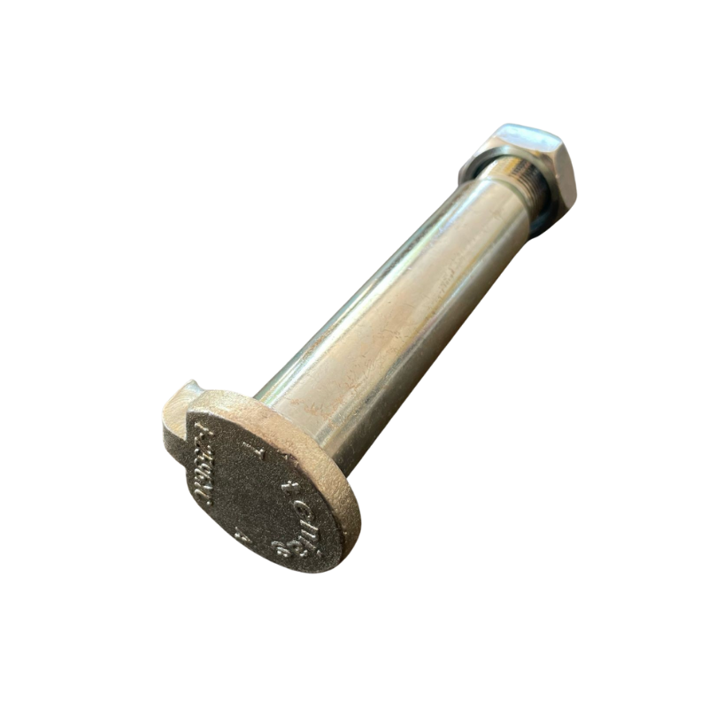 BULON MEDIANO TENIAS